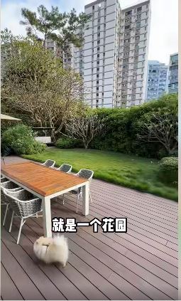 港漂靓妈月租6位数的香港星级豪宅地面层的客厅，穿过客厅直到花园。