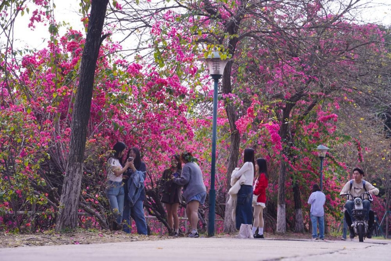 我在“花园”里读大学