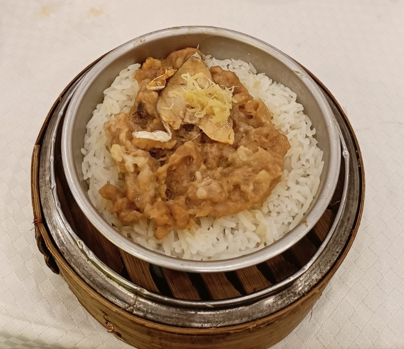 饱肚咸鱼肉饼饭只需$6.8（香港酒楼关注组）