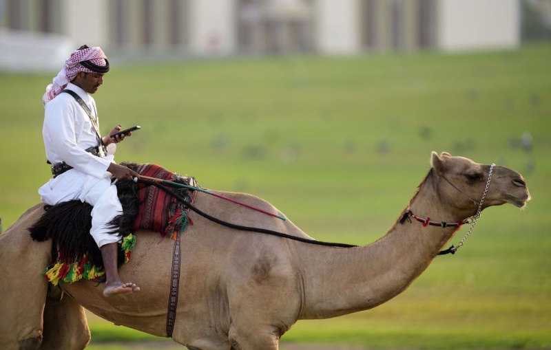 卡達的皇家衛士騎在駱駝背上使用手機。（美聯社）