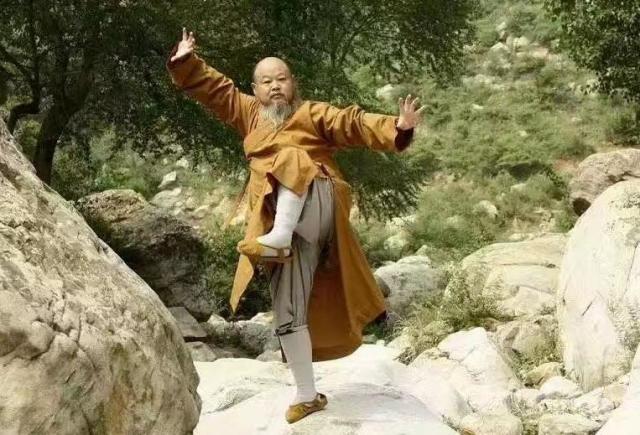 延庄大师学到外界称为达摩内功的上层禅功柔拳。 网图