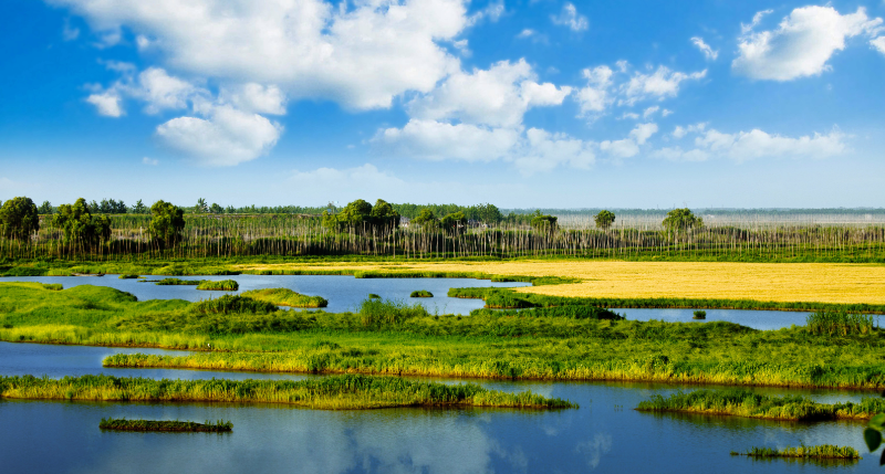 8. 湖北仙桃沙湖国际重要湿地