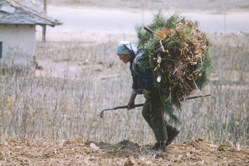 1990年代北韓曾發生大飢荒，無水無電、要配給，多達300萬人死亡。 資料圖片