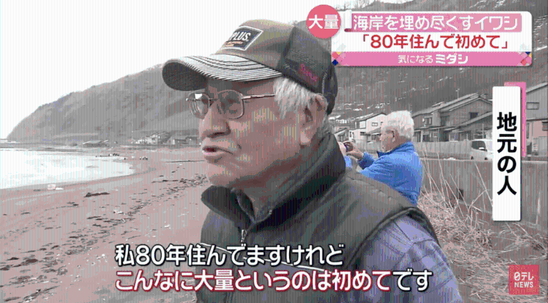 这名男居民说，自己在那里住了80年，从来没有见过这种情况。