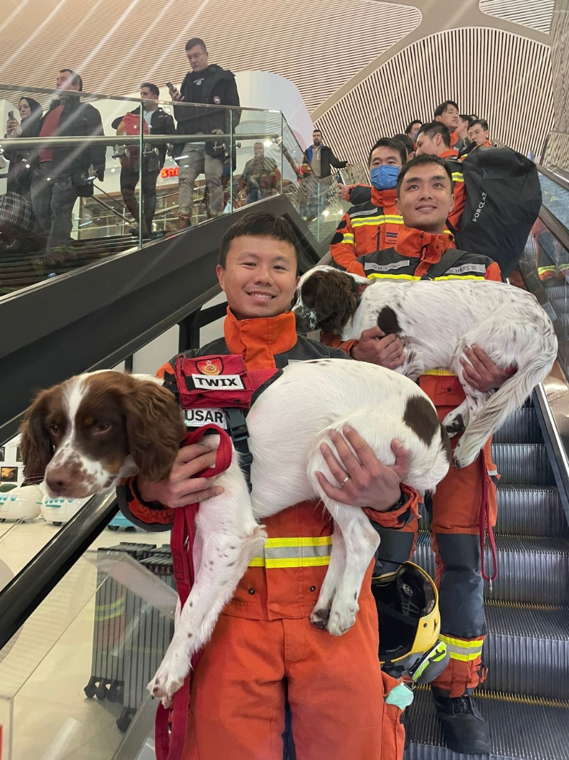消防处搜救犬Twix及Umi随特区救援队前往土耳其地震灾区。