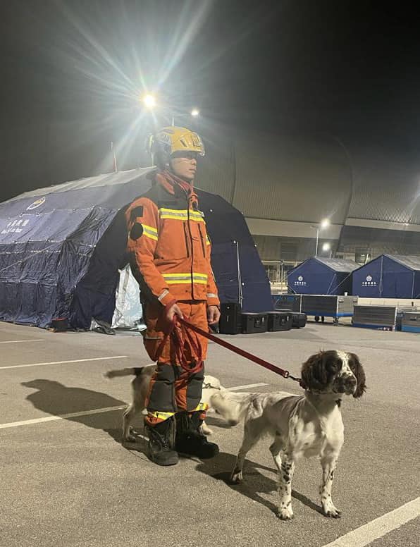 领犬员陈柱匡与自家繁殖搜救犬Umi前往土耳其救灾。