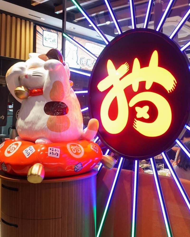 猫抓烤肉继先后于内地主要城市包括深圳及上海开设逾30多家分店，其后扩充至新加坡开店。
