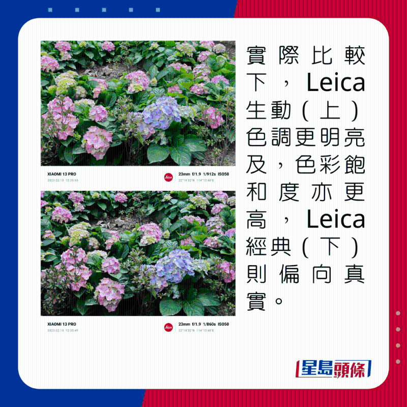 实际比较下，Leica生动（上）色调更明亮及，色彩饱和度亦更高，Leica经典（下）则偏向真实。