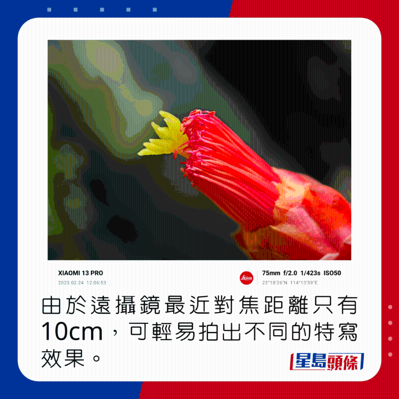 由于远摄镜最近对焦距离只有10cm，可轻易拍出不同的特写效果。
