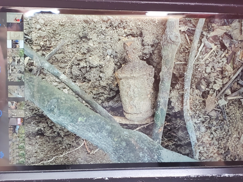 大潭黄泥涌道一个山坡发现一枚二战日式手榴弹。