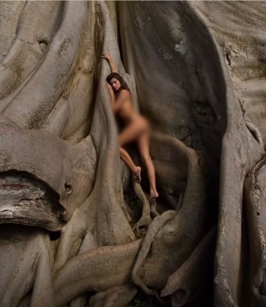 女網紅Alina Yoga全裸依偎「700年聖樹」。 IG