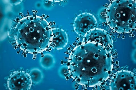 全国逾8成人口感染过新冠病毒
