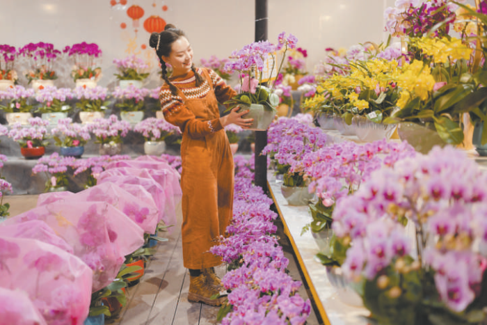 在广州人心里，爱花就是爱生活