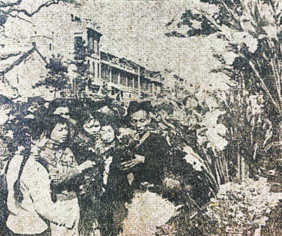 1957年1月31日《广州日报》刊登的花市图片