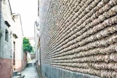 大岭村的蚝壳墙