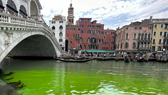 威尼斯运河部分河段变绿