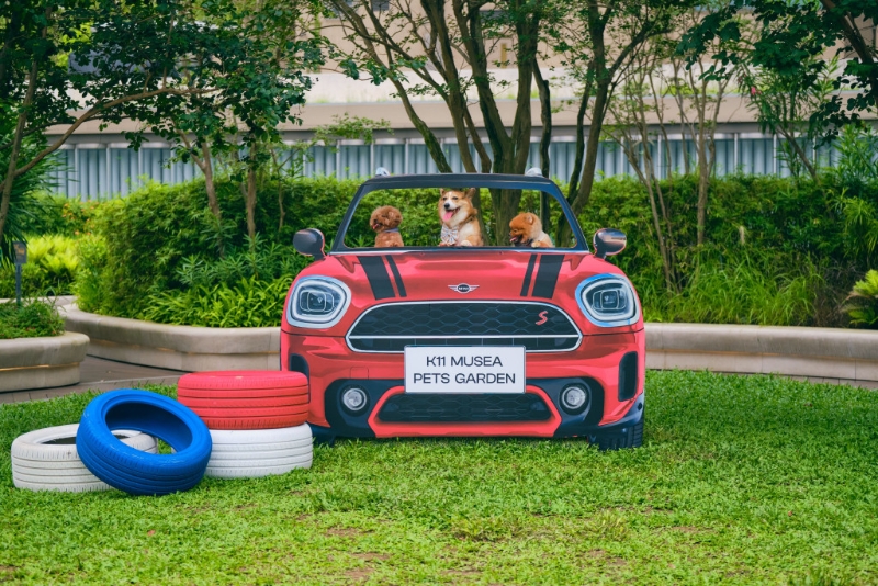 香港首个汽车主题宠物花园，K11 Musea 和 MINI联手打造