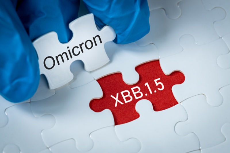 目前新冠主要流行株是Omicron XBB系列变异株。
