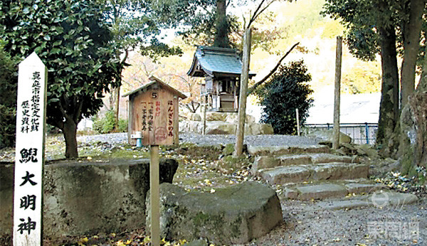 神社供奉参拜的是鲵大明神，但鲵也成为当地特产，神社后更有一间鲵鱼展览馆。