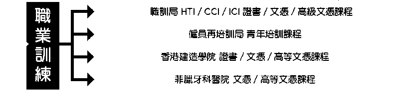 职业训练