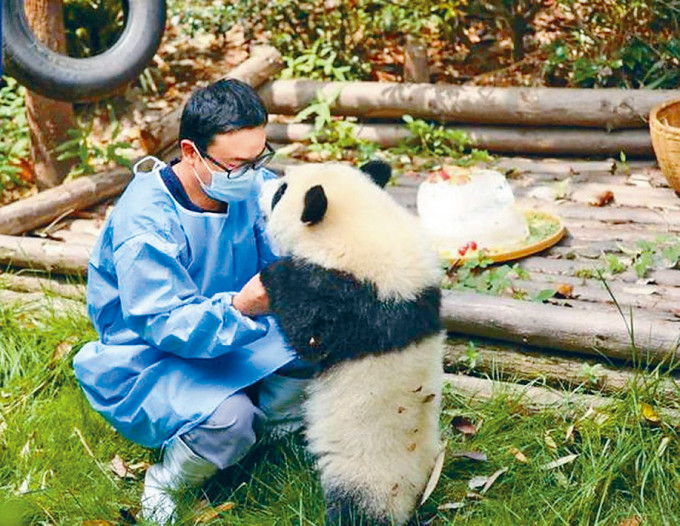 大熊猫网红饲养员被爆“睡粉”丑闻