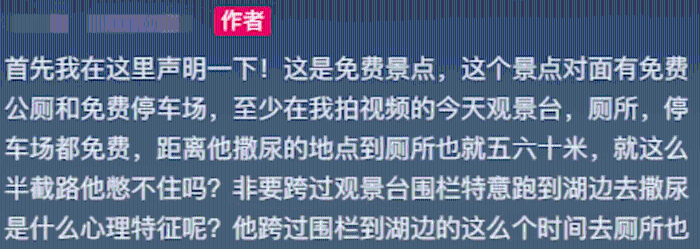 影片拍摄者发文炮轰该名男游客。