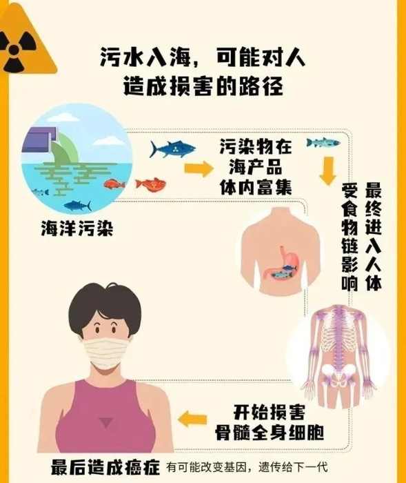 核污染水入海可能对人造成损害的路径