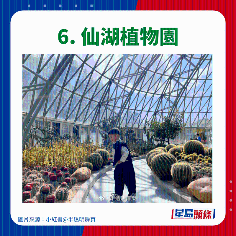 6. 仙湖植物园