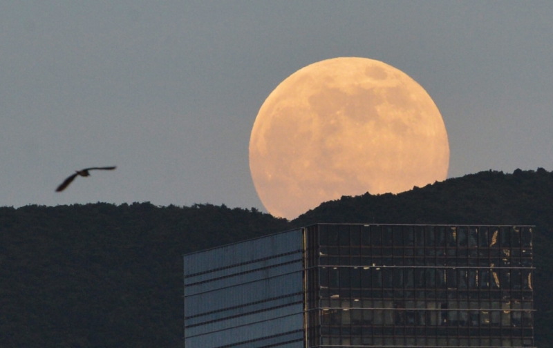天文台表示，若天气情况许可，巿民可于中秋节前后的晚上观赏到又大又圆的明月。