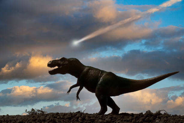 恐龙灭绝相传与陨石撞击地球有关。