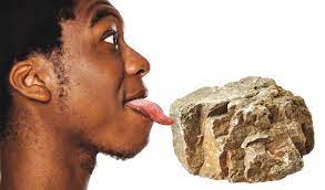 为何爱舔石头的研究也能获奖。