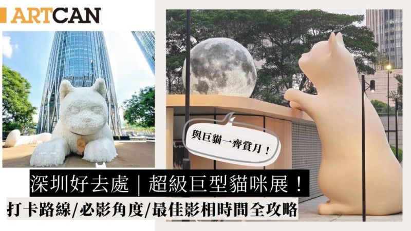 深圳2大巨型猫咪展