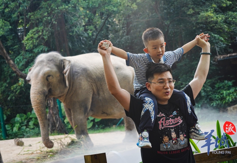 家长与孩子在大象前合影。