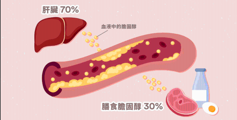 血液中的胆固醇，只有20至30%是直接经由食物吸收（图片来源：「Nutri Life 注册营养师」facebook）