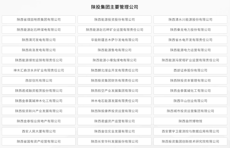 除从事能源领域的投资运营外，陕投集团旗下还包括西部信托、西部证券、陕投资本、君成租赁等金融、投资公司，并参股永安财险、华泰保险等保险公司。