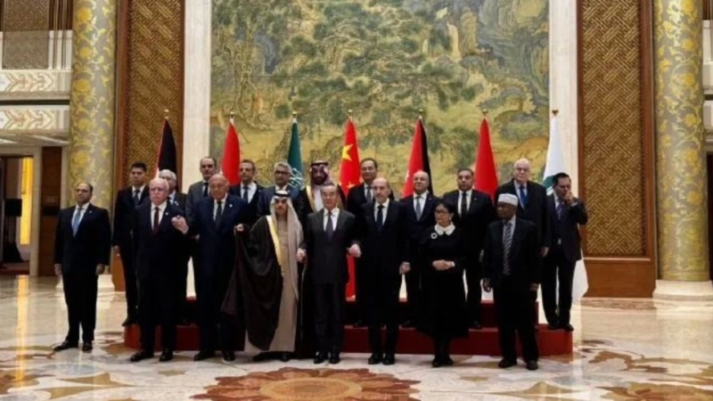 王毅会见阿拉伯和伊斯兰国家外交部长联合代表团