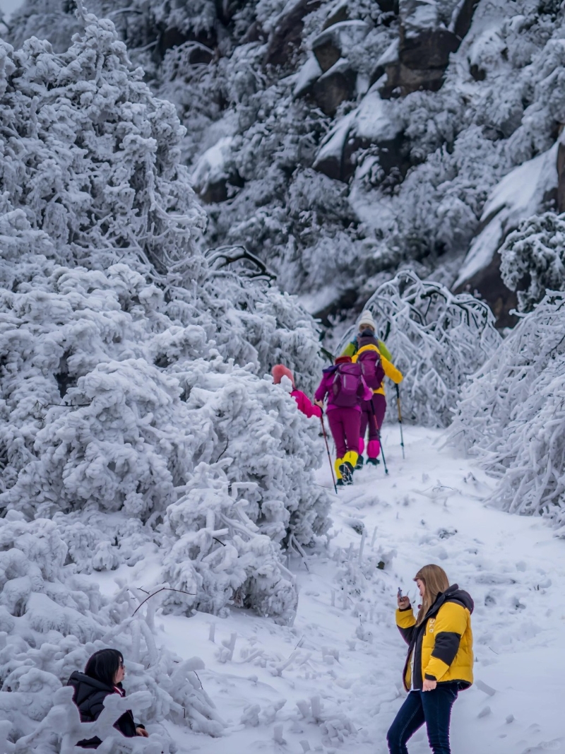 每年湖南衡阳南岳衡山的壮丽雪景，都吸引很多游人前往观赏。