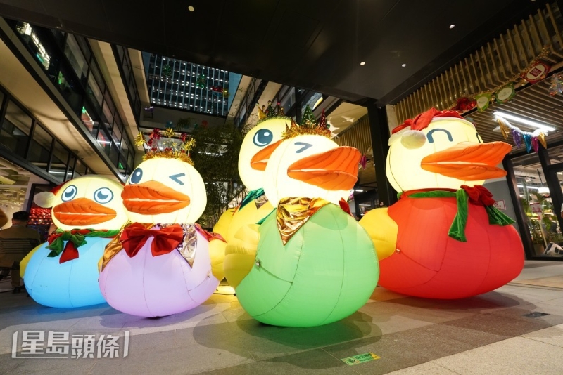 “小黄鸭”跨媒体展覧昨天中环街市揭幕。