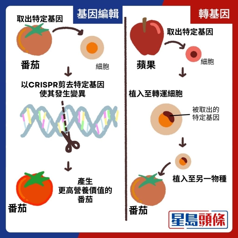 图解基因技术