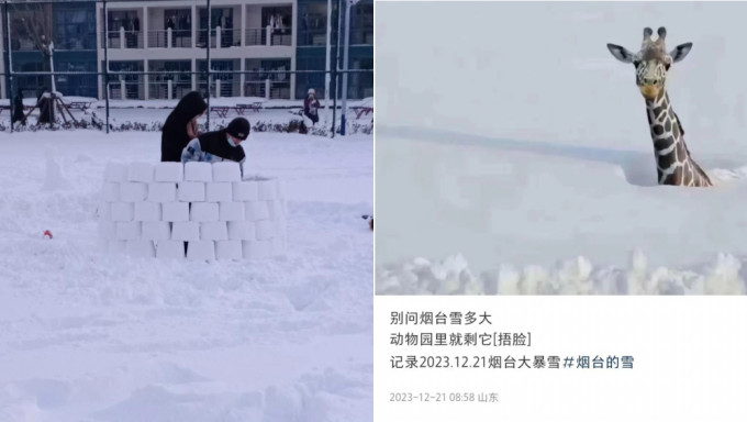 网民说笑称山东积雪深至长颈鹿只露个头