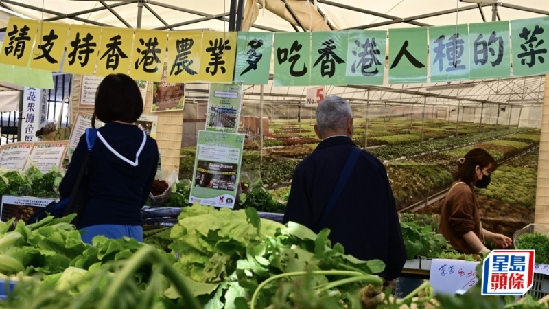 渔农美食嘉年华一连三日开锣。