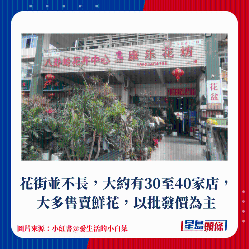 花街并不长，大约有30至40家店，大多售卖鲜花，以批发价为主