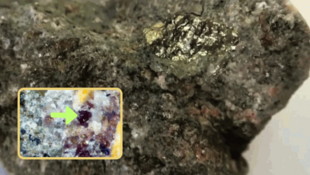 河南稀土中发现新矿物，命名为“倪培石”