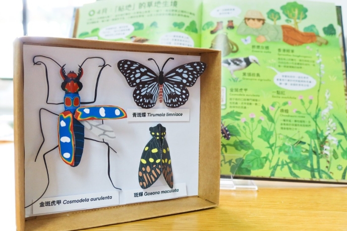 当日会由小树林自然教育的导师带 领举行“纸标本手作坊”，每对亲子会 制作像真度十足的模拟昆虫标本。