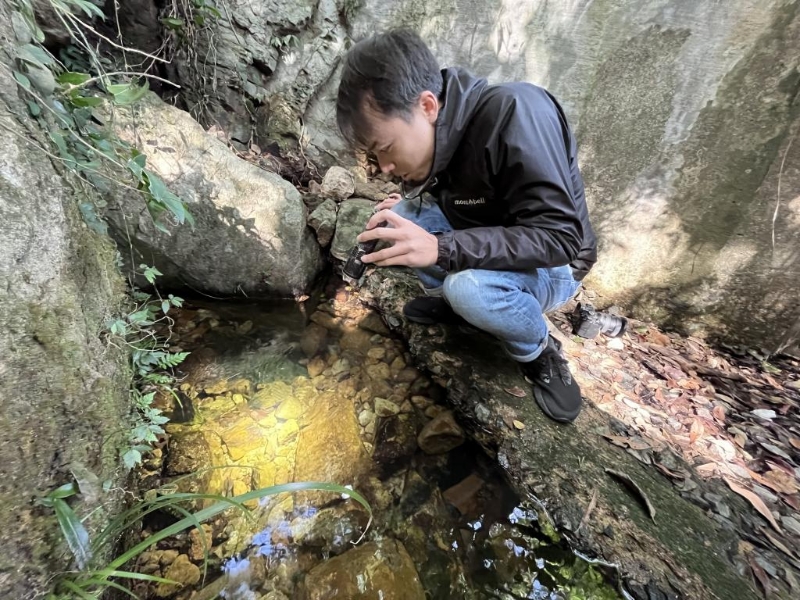 阿城经常到河溪，利用手电观察藏匿石隙的香港瘰螈。