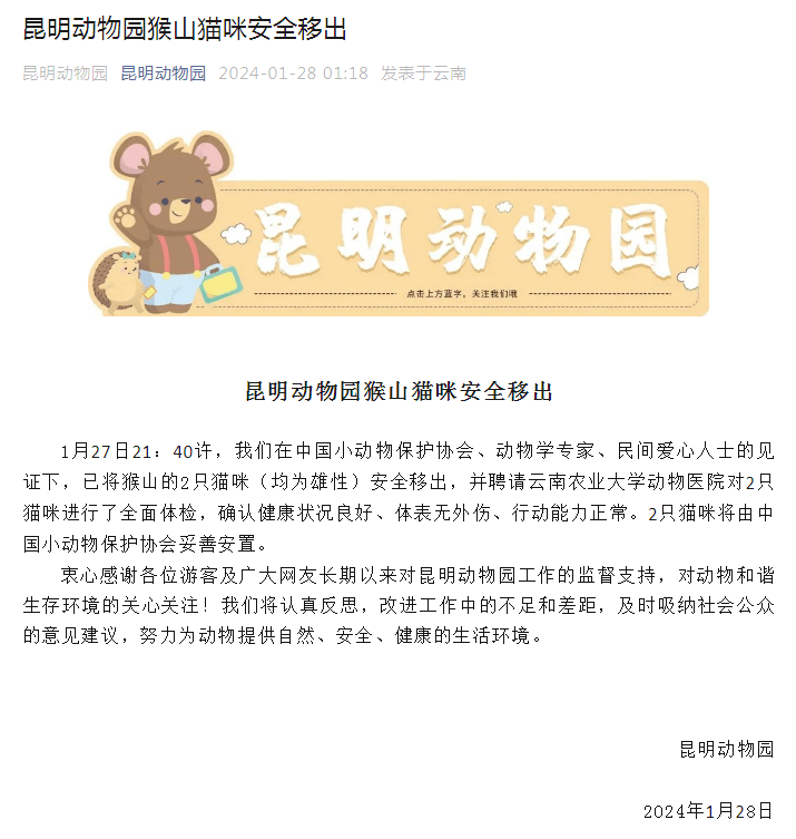 昆明动物园昨晚发出有关移走小猫的通告。