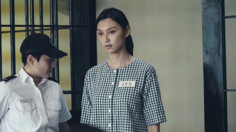 第42届香港电影金像奖最佳女主角提名：王丹妮《毒舌大状》
