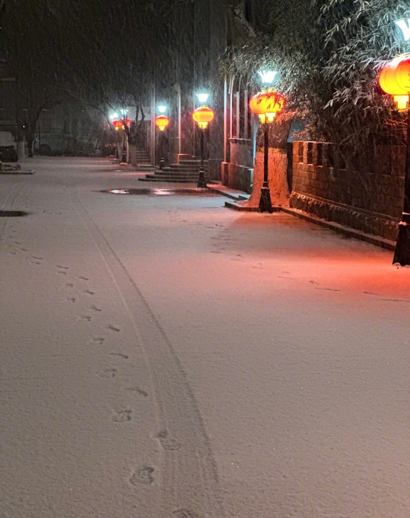 地下有一层薄薄积雪。新华社