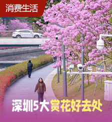 深圳1200个公园赏花无难度，莲塘口岸搭一个站地铁即到……