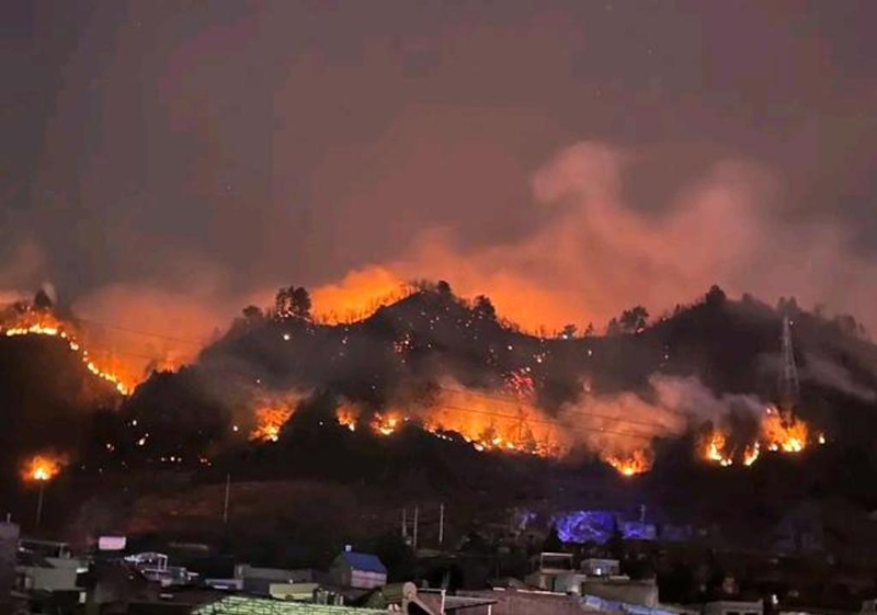 天干物燥与用火不当是导致贵州森林火灾的主因。 （图：新浪网）